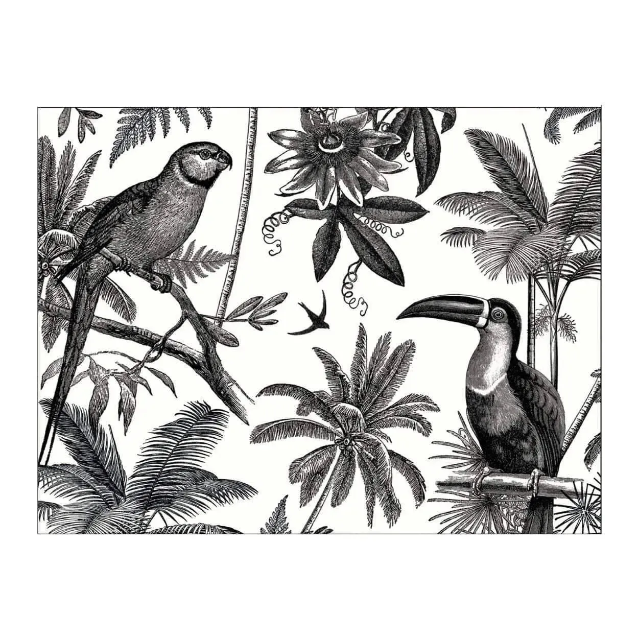 Alice Scott Greeting Card Assortment