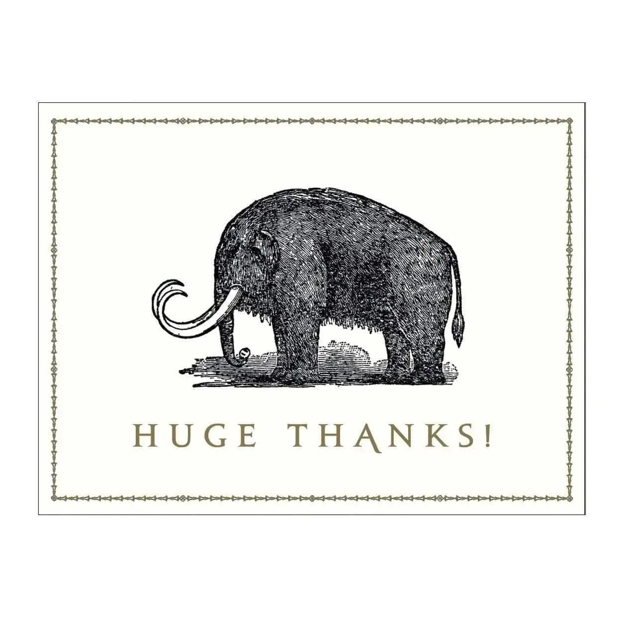 Alice Scott Greeting Card Assortment