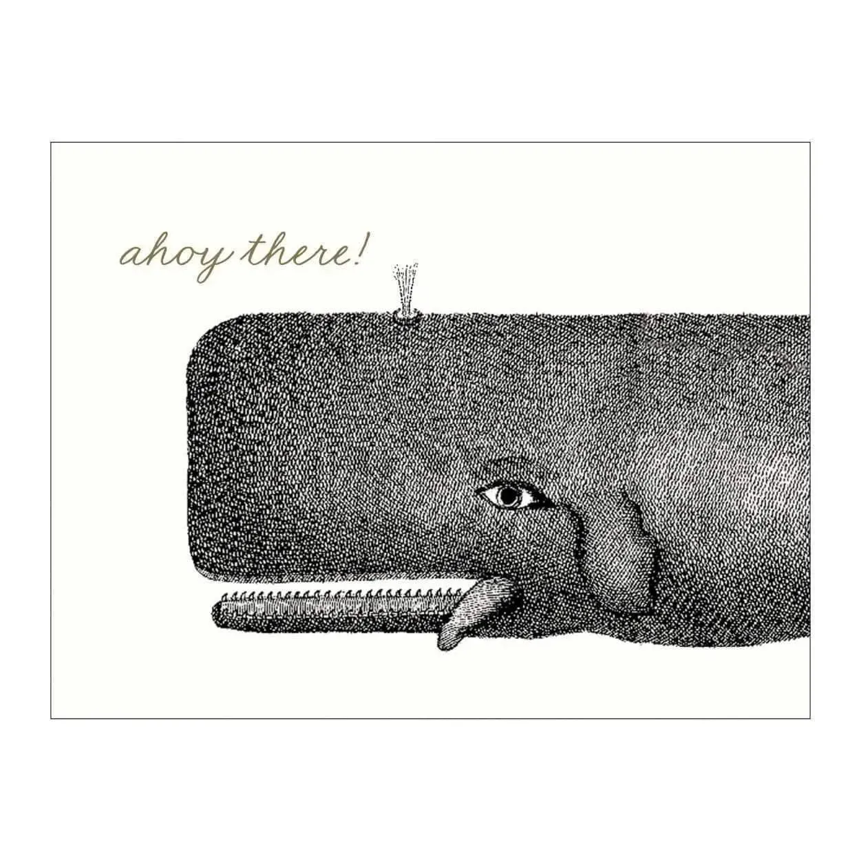 Alice Scott Greeting Card Assortment