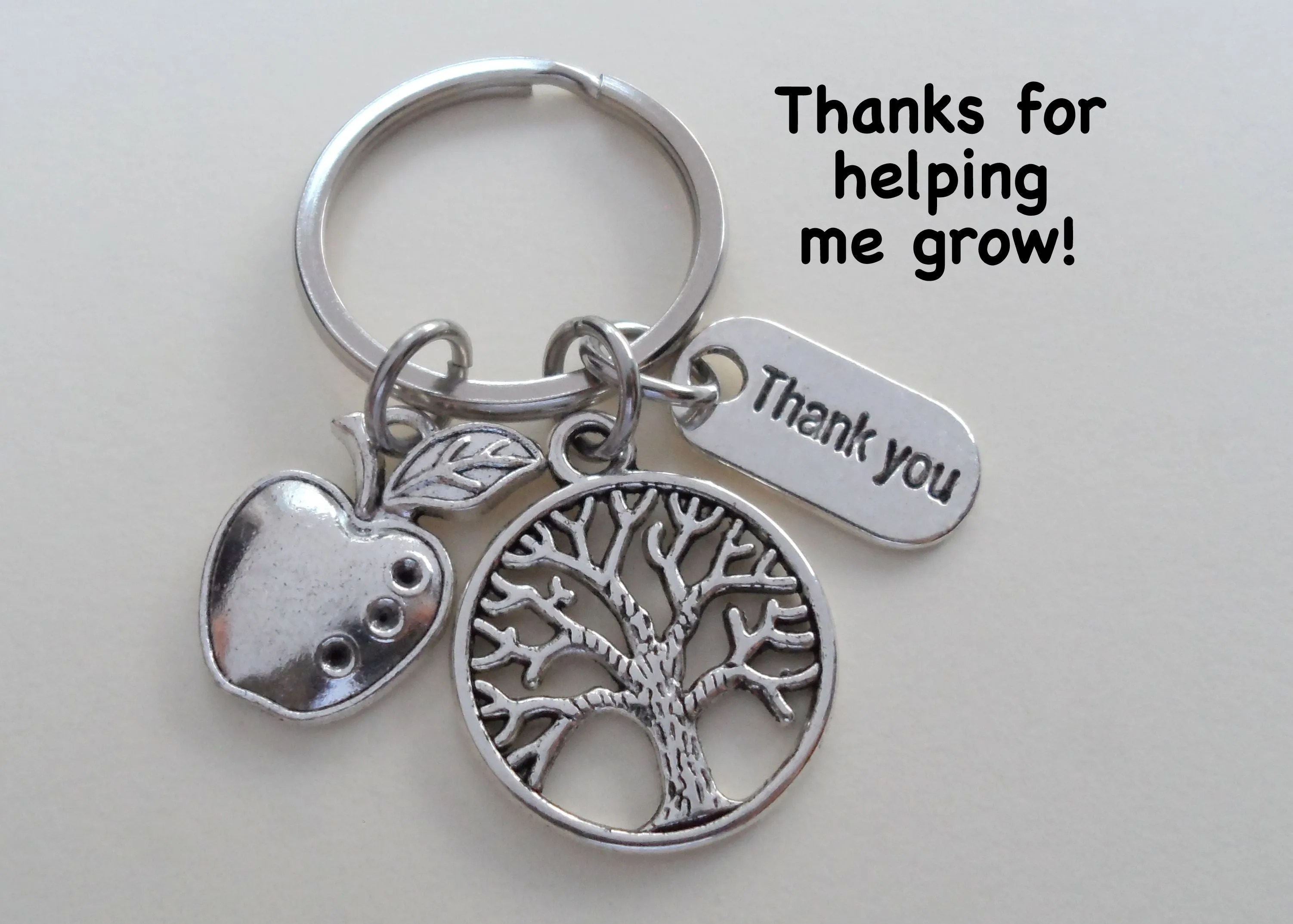 Apple & Small Tree Keychain Appreciation Gift with Thank You Charm - Thanks for Helping Me Grow