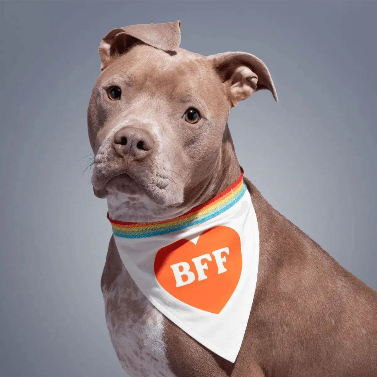 BFF Dog Bandana