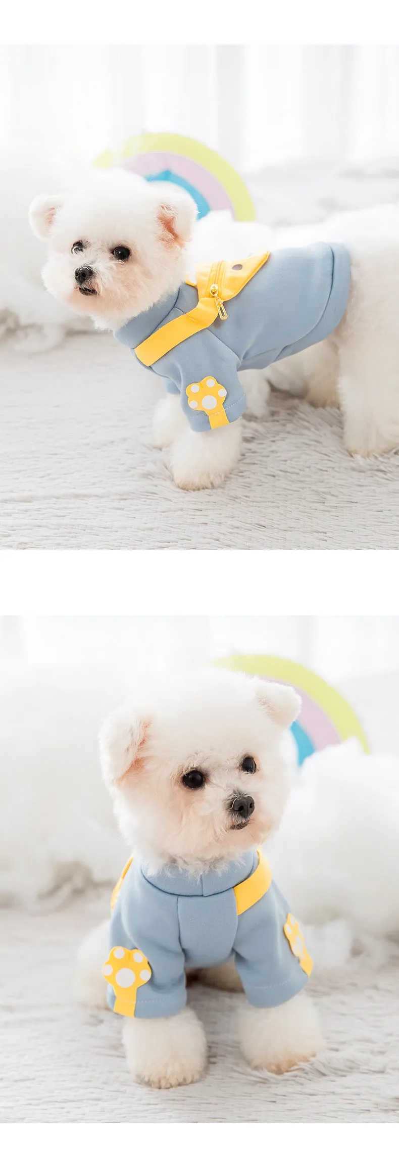 Cartoon backpack pet clothes