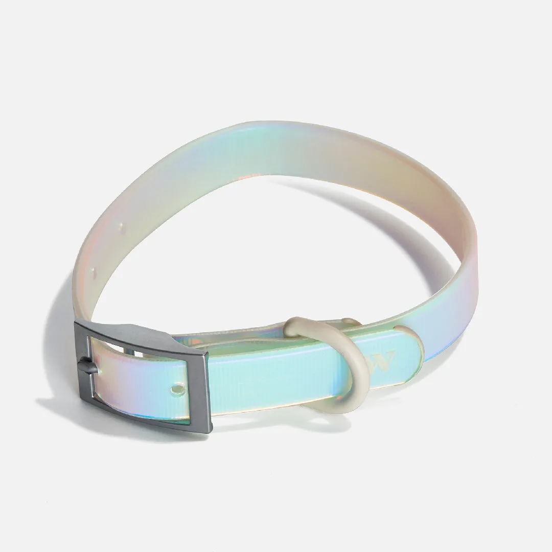 Collar Walk Kit in Lunar<br><span style="color: #D47E26;">LIMITED EDITION</span>