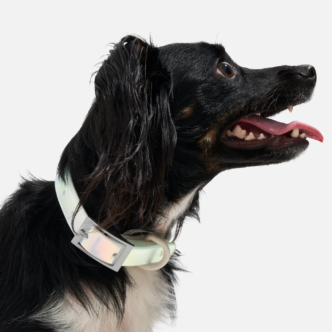 Collar Walk Kit in Lunar<br><span style="color: #D47E26;">LIMITED EDITION</span>