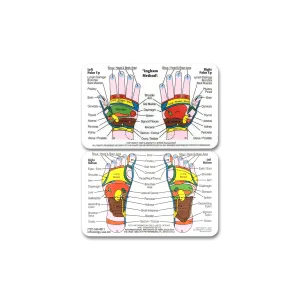 Foot & Hand Chart (Double Sided, Wallet Size)