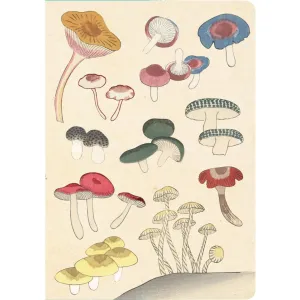 Healing Mushrooms Journal