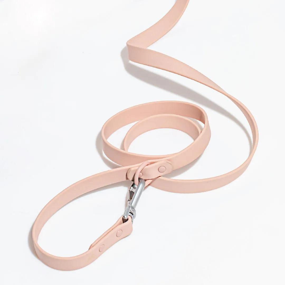 Leash