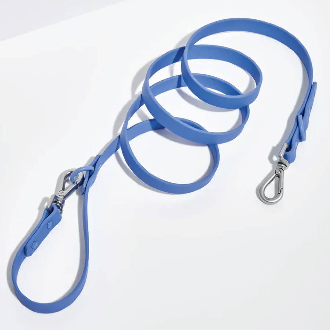 Leash