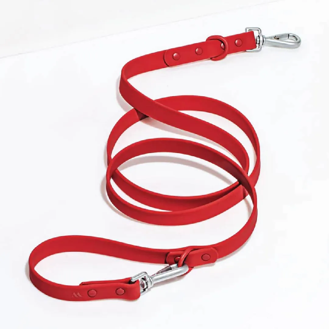 Leash