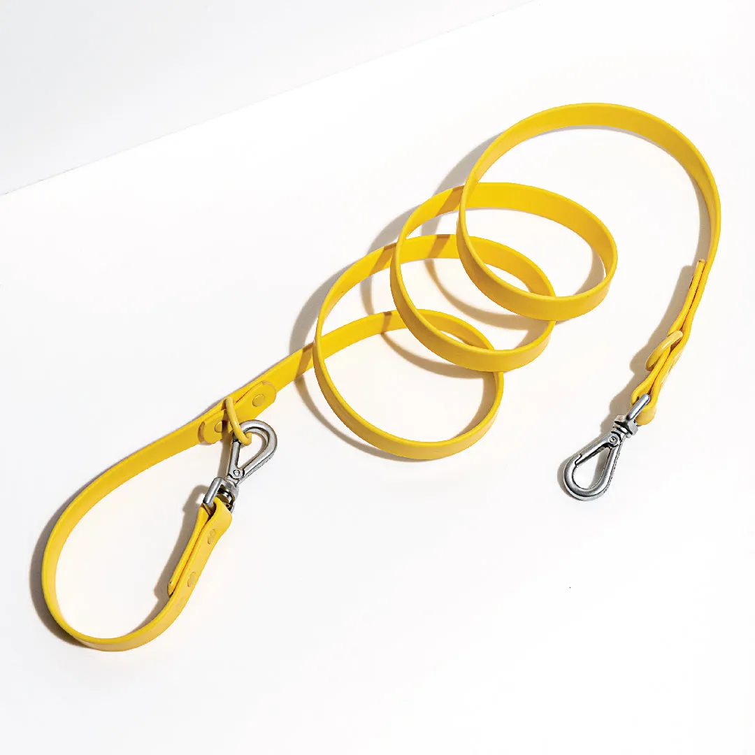 Leash