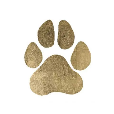 Paw Symbol