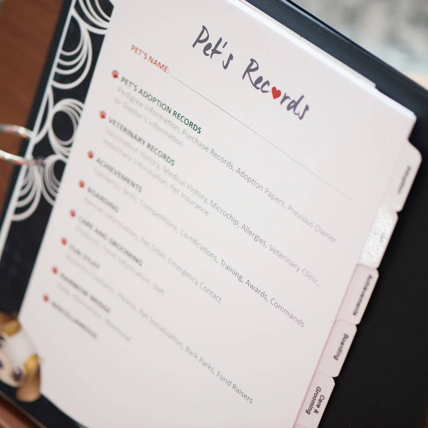 Pet Records Organizer Kit