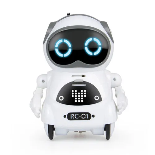 Pocket Robot Talking Interactive Dialogue Voice