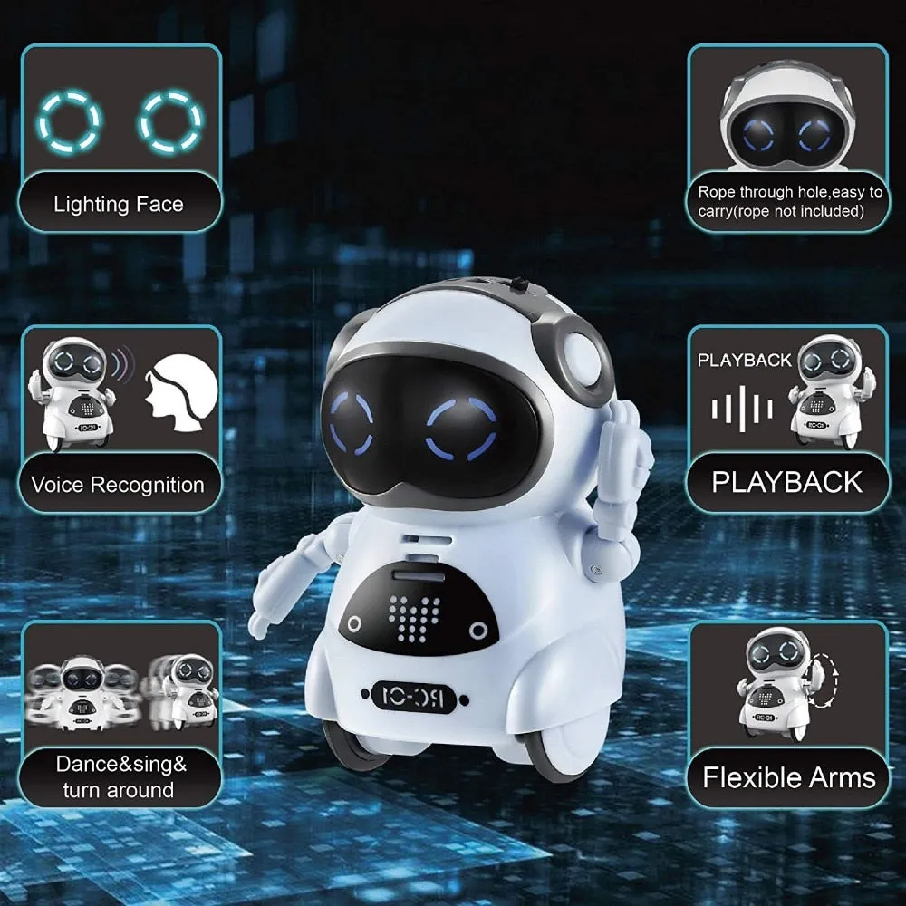 Pocket Robot Talking Interactive Dialogue Voice