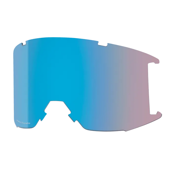 Smith Squad XL Goggles 2024